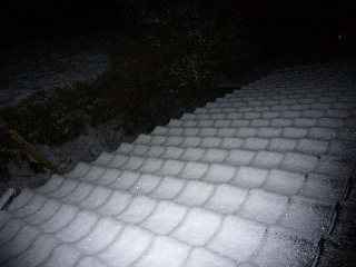 P1010790