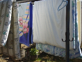 P1010849