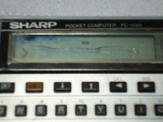 P1010884