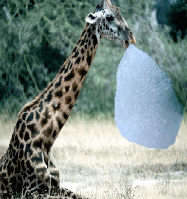 Wldan022