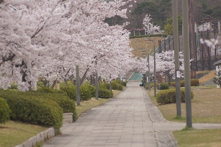 Dsc05000