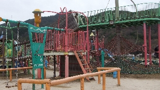 Dscf3105