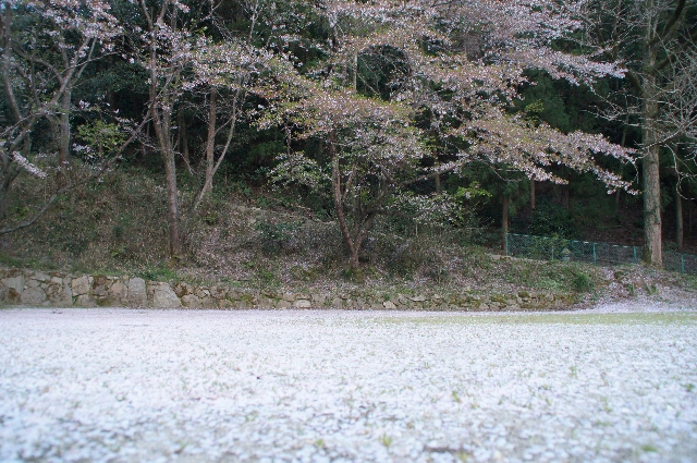 Dsc05157