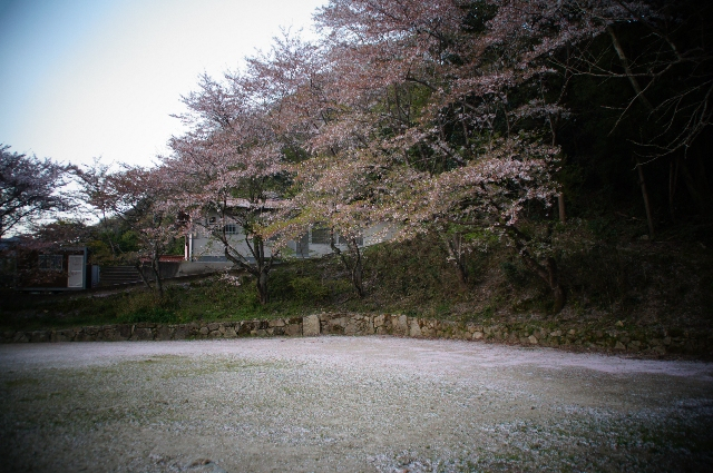 Dsc05169