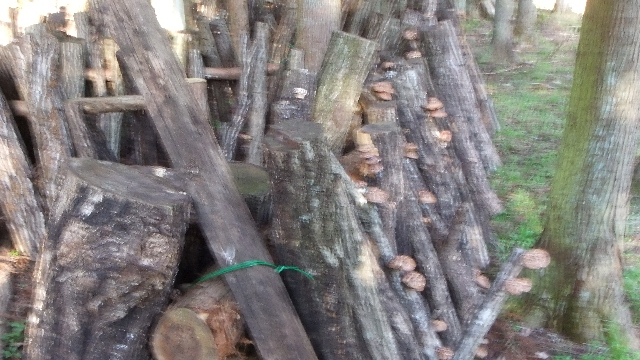 Dscf3149