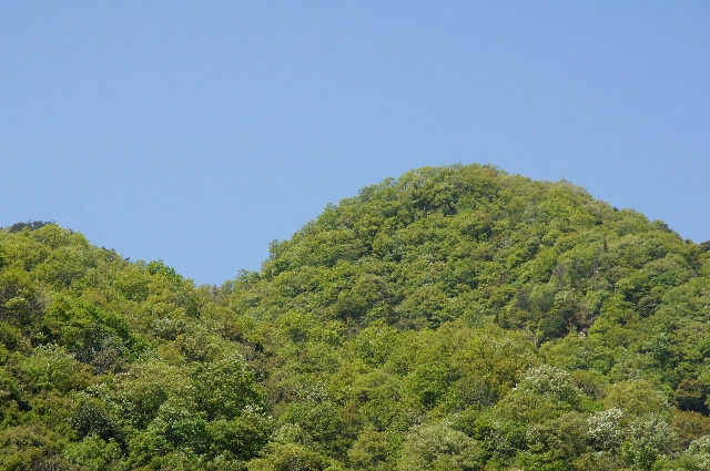 Dsc05552
