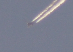 Image1