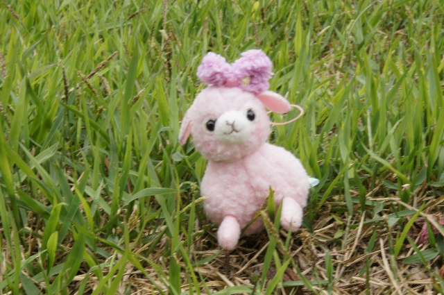 Dsc05605