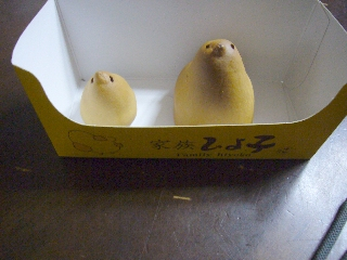 P1020088