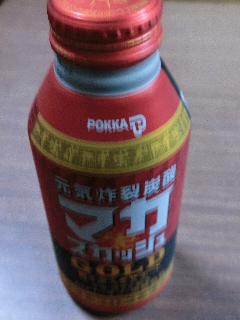 Cimg3114_2