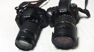 Dscf3411