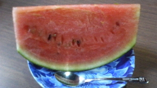 P1000340