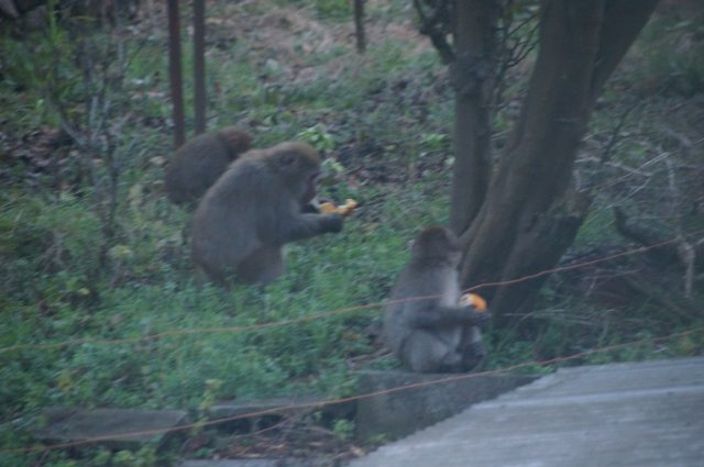 Image2