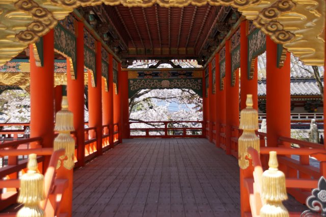 Dsc00110