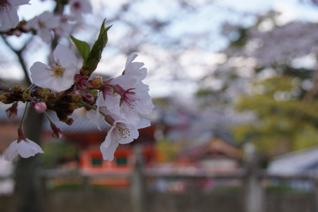 Dsc00157