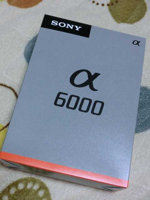 Cimg0408