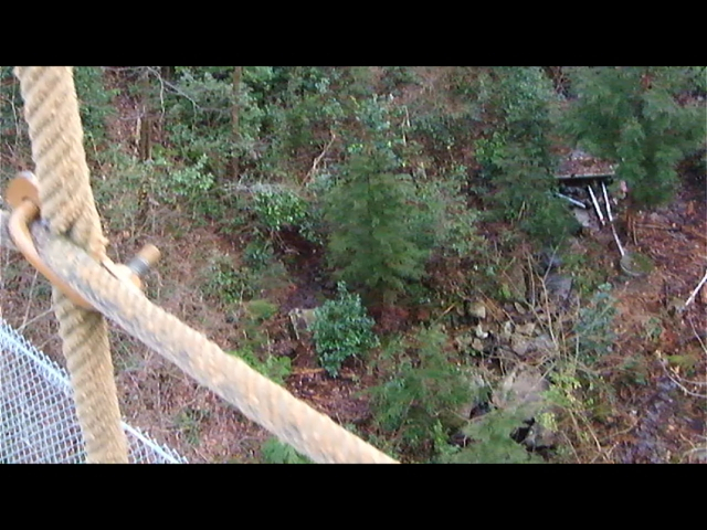 Dscf0105avi_000090558