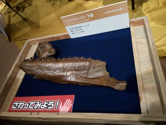 Img_20160731_1456051