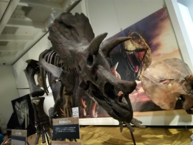 Img_20160731_1456361