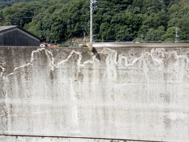 Img_20161018_1051151