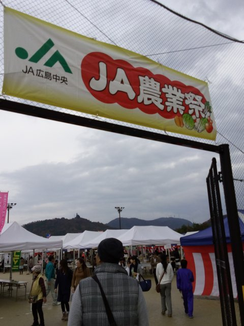 Img_20161120_1446191