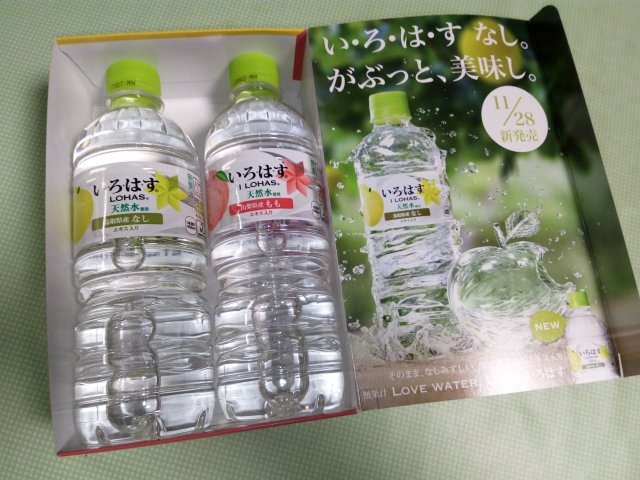 Img_20161120_1605401