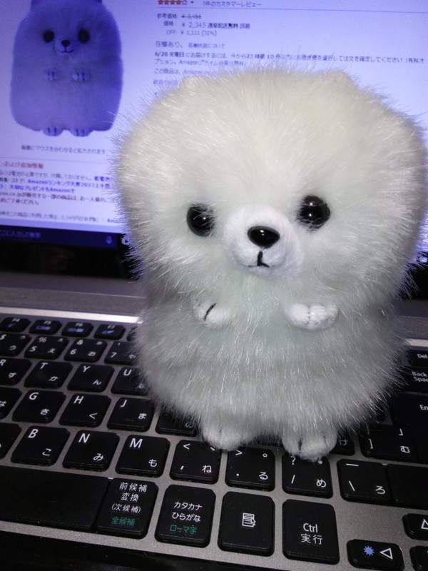 Img_20170619_0049531