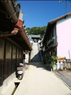 S_dsc00435