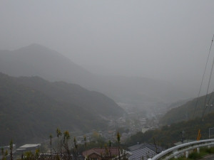 Kousa