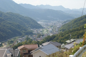 Not_kousa