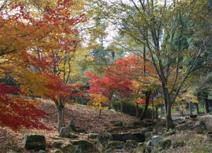 Ryokka3