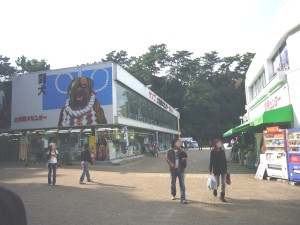 Tosa