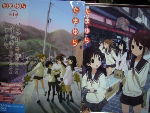 Tamayura_case3
