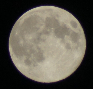 Dsc00305