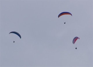 Image3