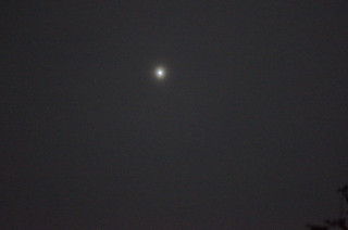 Dsc03098