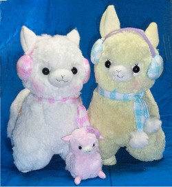 Image31