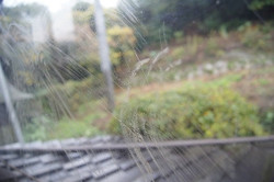 Dsc03798