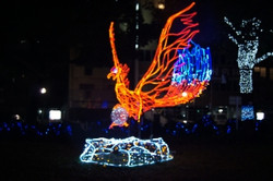 Dsc03837