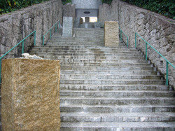 P1010569