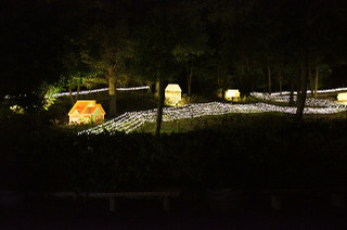 Dsc04003