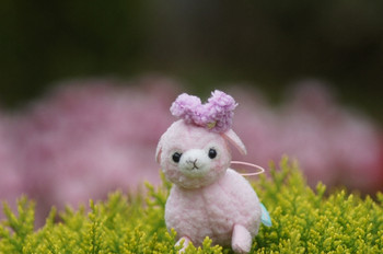 Dsc05650_2 Dsc05650_2