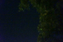 Dsc00545