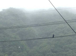 Image6