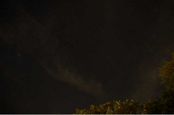 Image1