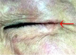 Image3