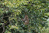 Dsc04347
