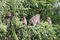 Dsc04369