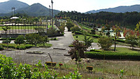 Dscf9801
