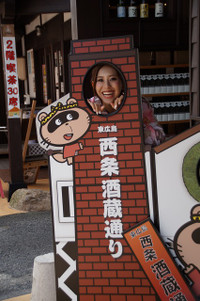 Dsc08671